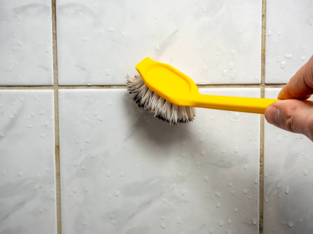 Best Mold Remediation for Schools in Lake Clarke Shores, FL